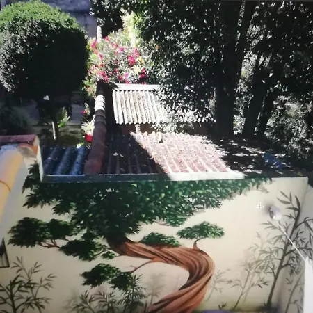 Apartment Oisivete Avec Terrasse Vue Sur Patio Et Clim